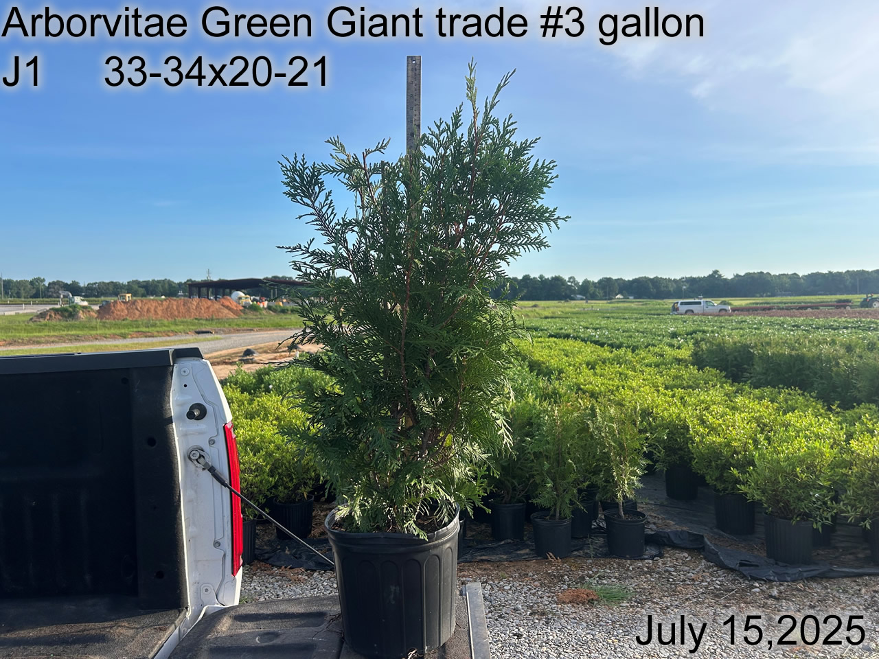 gallery/avgg3t j1 july25.jpg